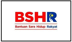 BSH 2020
