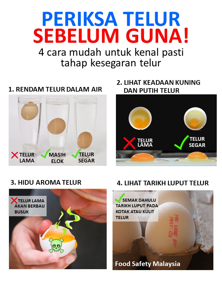 Telur Buruk, Ini 4 Cara Periksa Telur Sebelum Guna 1