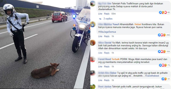Abang POLIS Selamatkan Anjing Tersadai Tepi Jalan Dapat Pujian Netizen 32