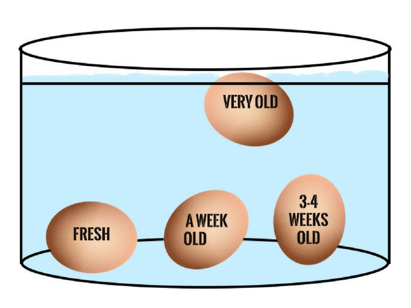 Telur Buruk, Ini 4 Cara Periksa Telur Sebelum Guna 2