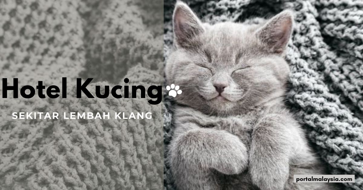 Hotel Kucing Terbaik Di Malaysia 2022 | Sekitar Lembah Klang 1